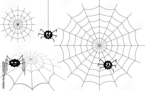 Spiders and their webs