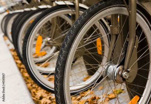 Row of bicycles