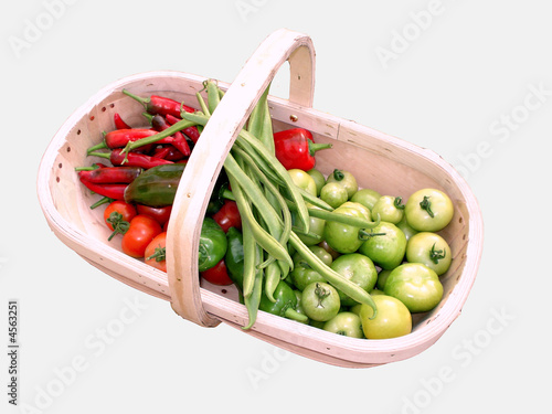Vegetables from the garden