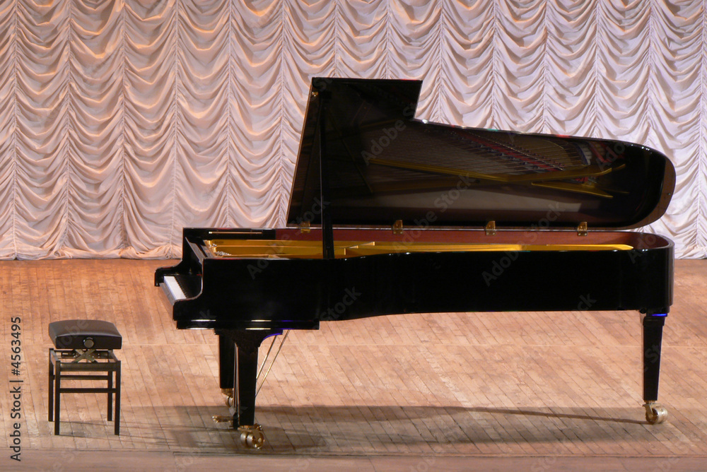 Obraz premium Grand piano