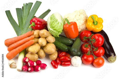 Set of different autumn vegetables