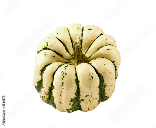 Sweet dumpling squash on a white background.
