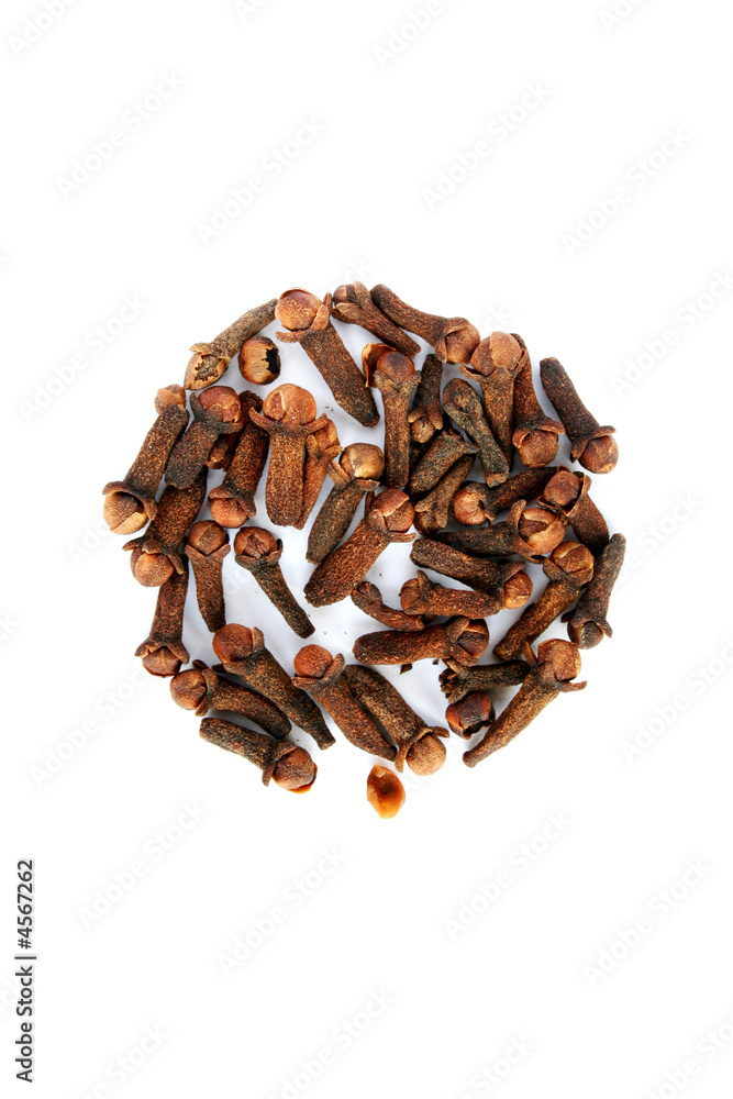 Obraz premium nelkenkreis