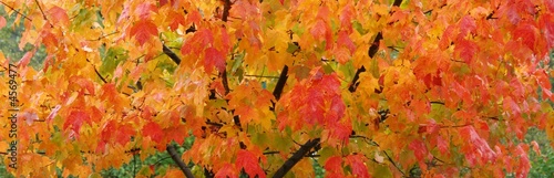 horticulture banner