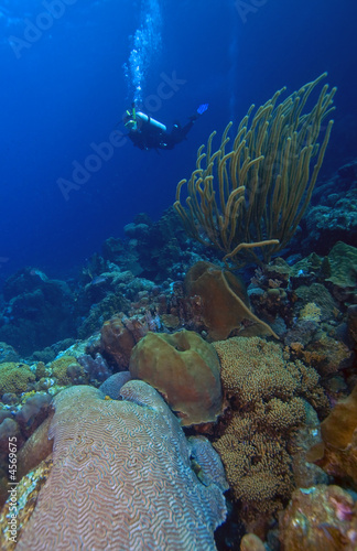Underwater diver