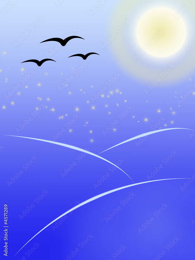 birds flying at night birds flying at night