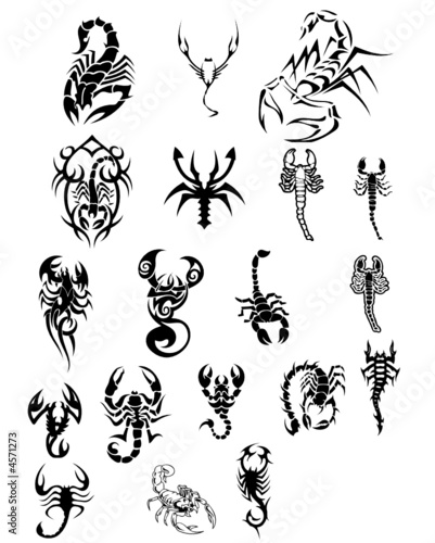 vector tatoo scorpions