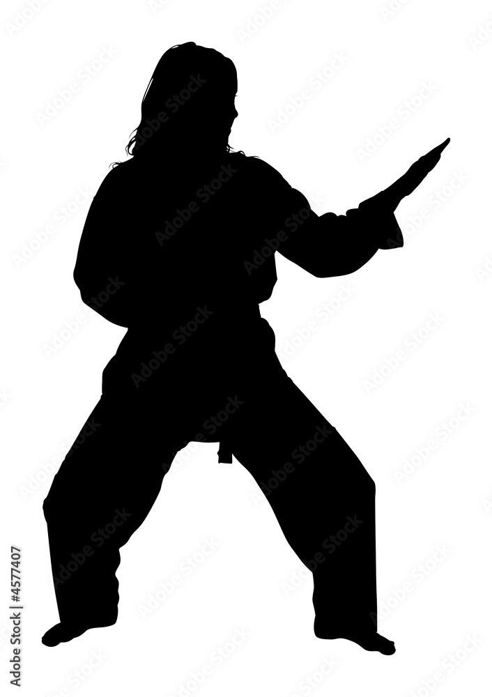 Silhouette With Clipping Path of Martial Arts Woman