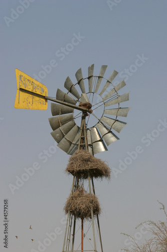 Windrad