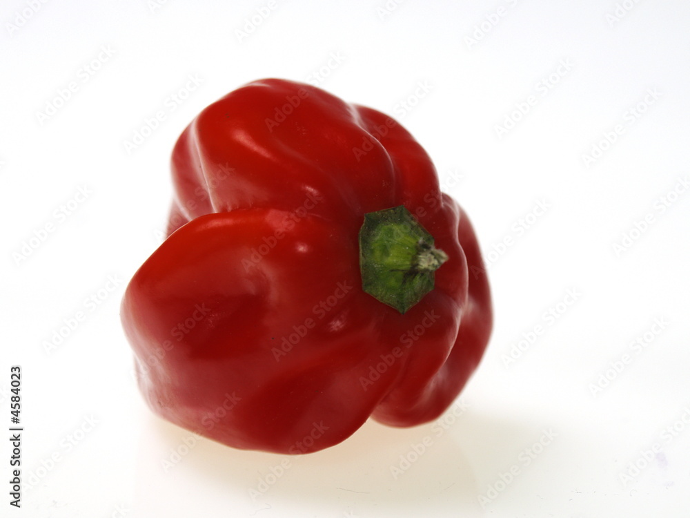 rot thai chili rot thai chili