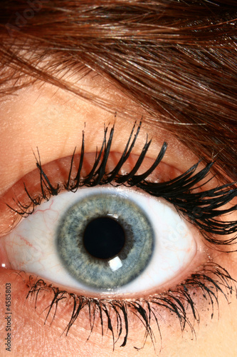 Auge Makro
