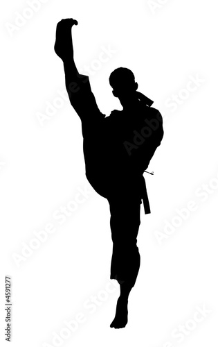 Silhouette With Clipping Path of Karate Kick