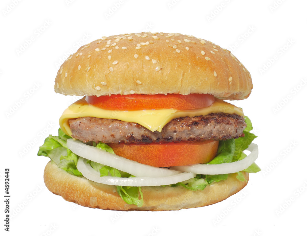 HAMBURGUESA HAMBURGUESA