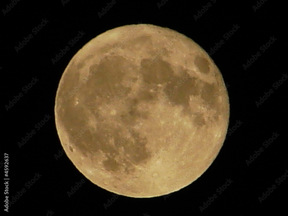 Lune Lune
