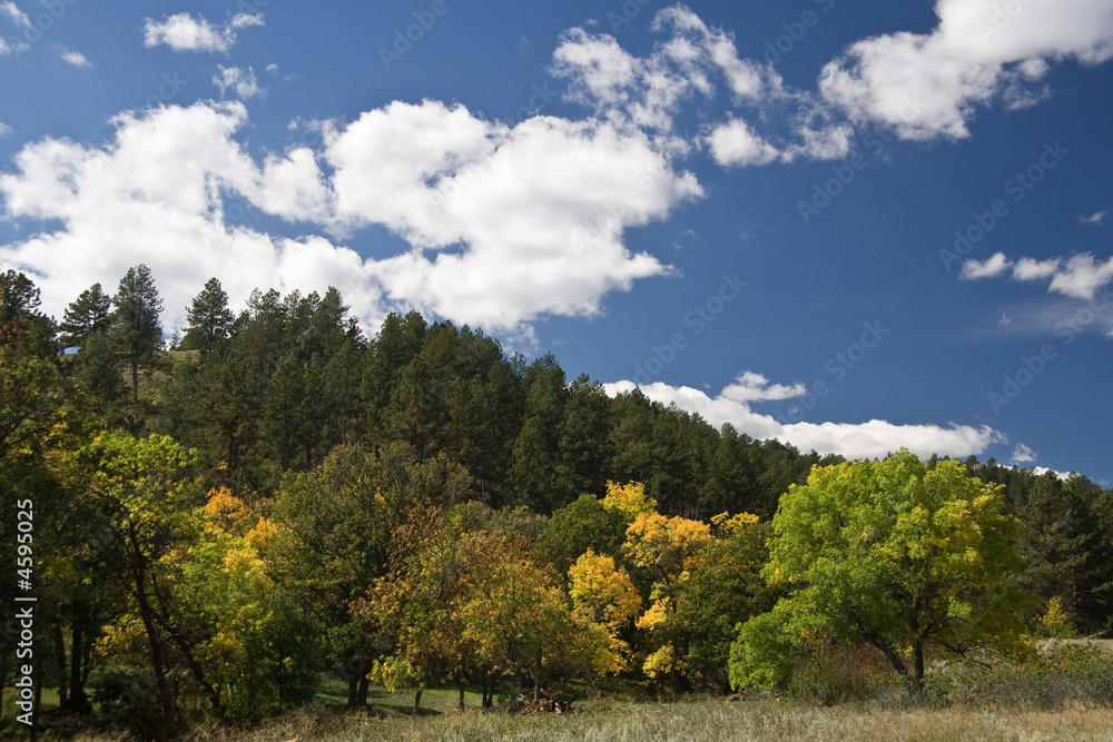 Fall colors Fall colors