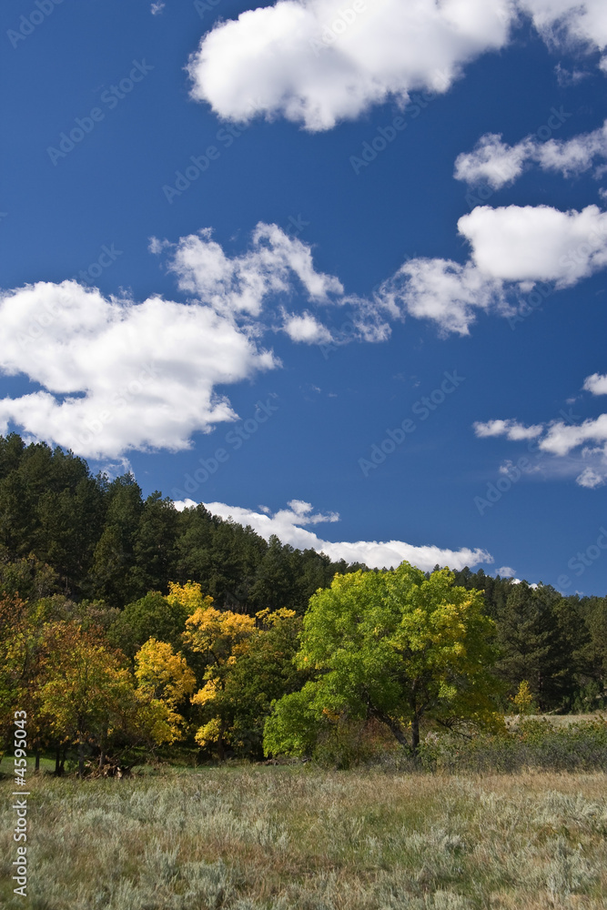 Fototapeta premium Fall colors