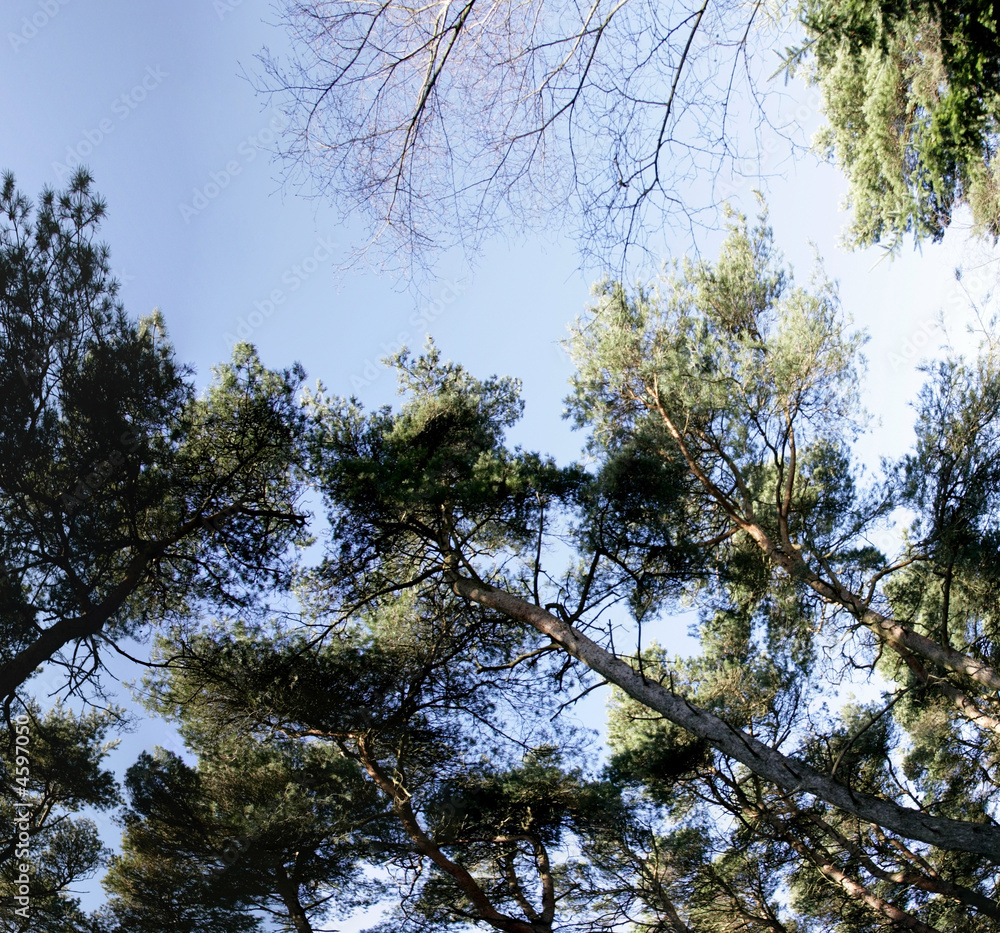 Obraz premium lickey hills