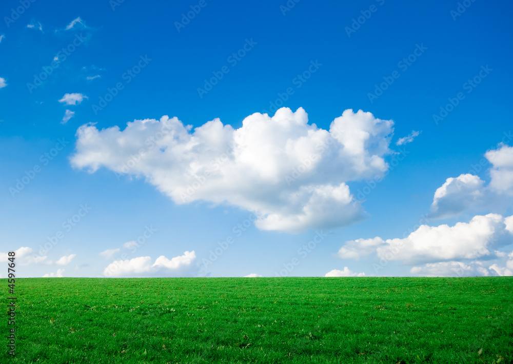 green grass with bright blue sky