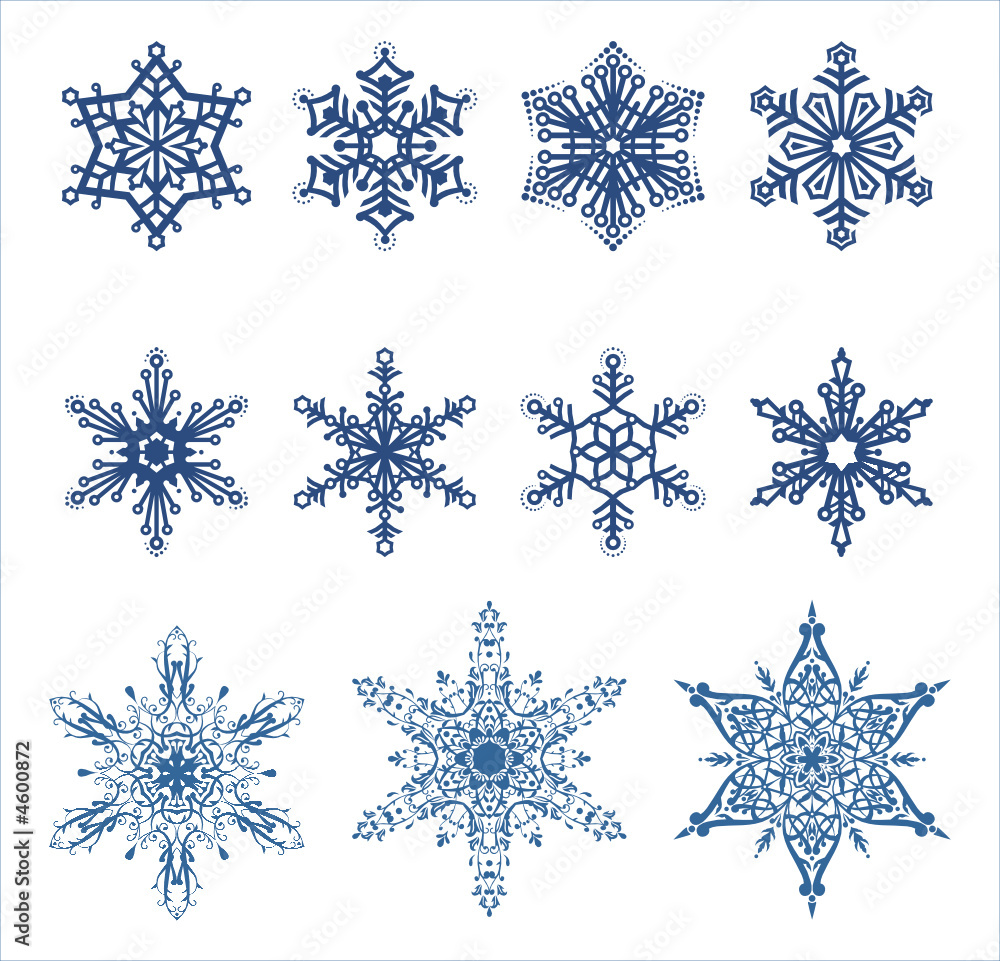 Vector snowflakes / Ideally for your use Vector snowflakes / Ideally for your use