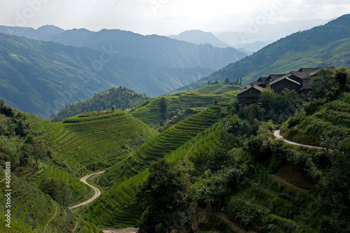 path in the terraces