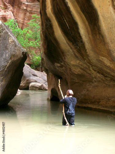 hiker walking in water of virgin river in zion national park