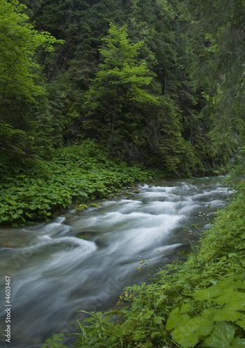 National Park in Tatry  Poland 