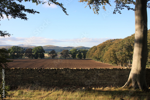 Fototapeta Naklejka Na Ścianę i Meble -  Fields in autumn around Northumberland