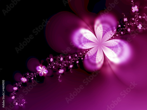 Beautiful flowers