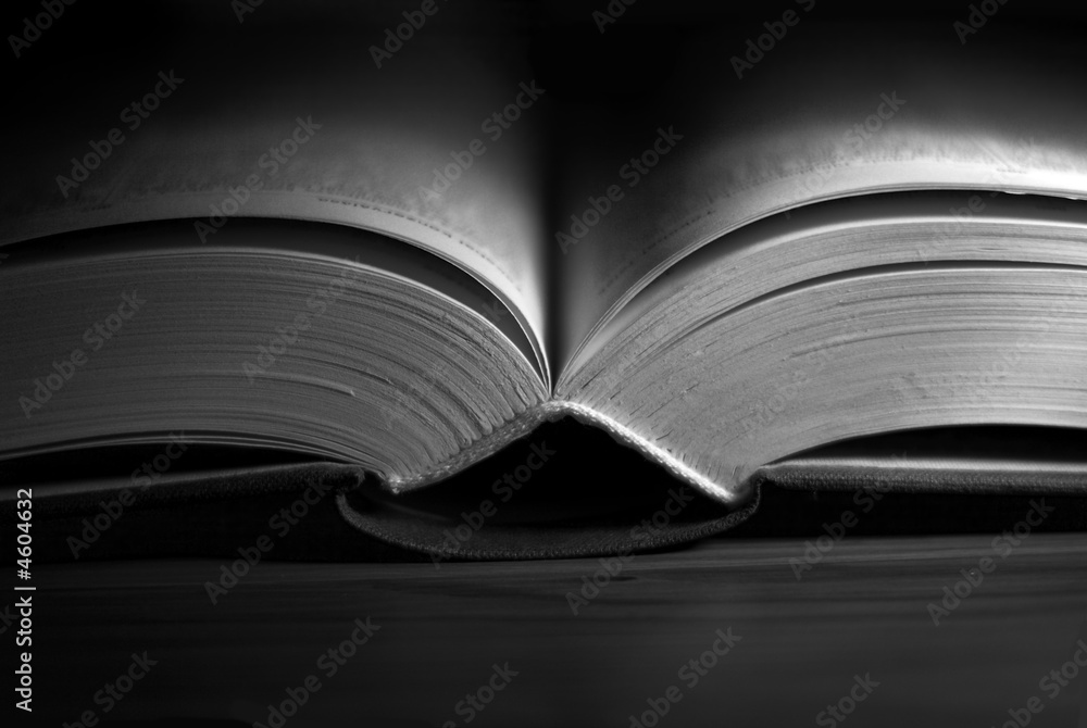 Fototapeta premium Book