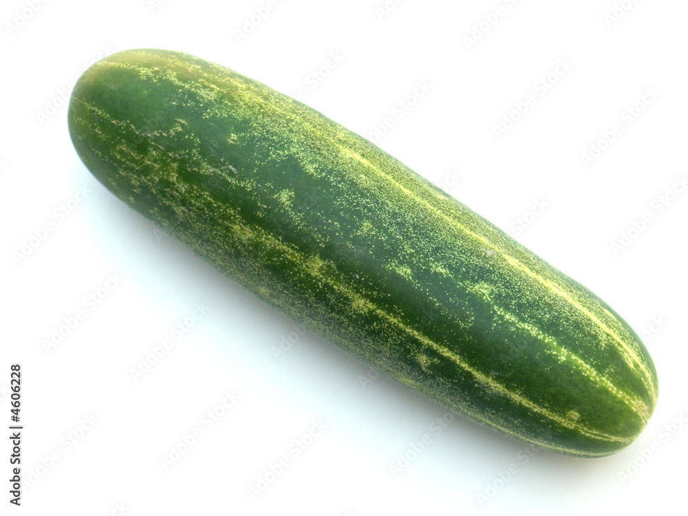 concombre concombre
