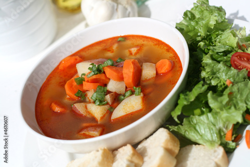 Vegetable Soup