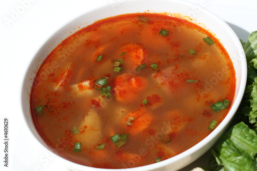 Vegetarian Soup