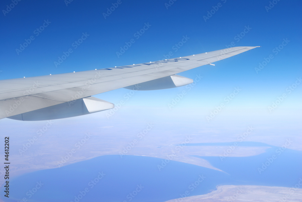 Plane wing