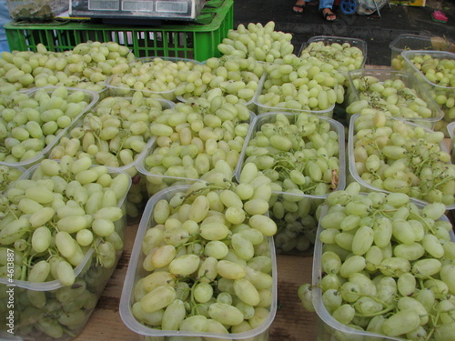 Elongated grapes