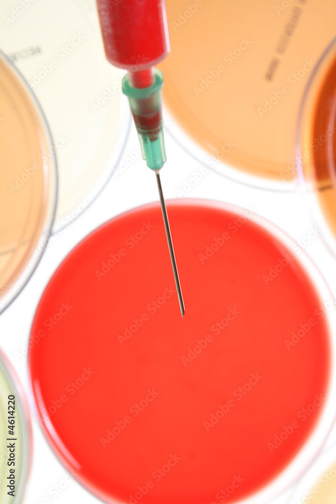 Petri dishes for medical research Petri dishes for medical research