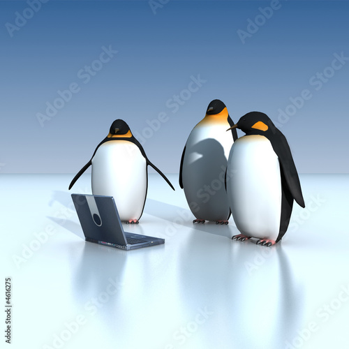 penguins