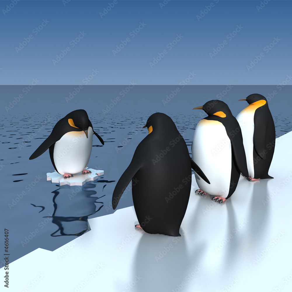 Obraz premium penguins