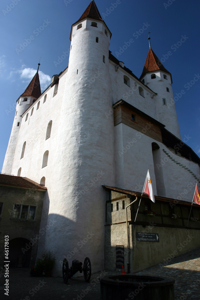 Chateau de Thoune