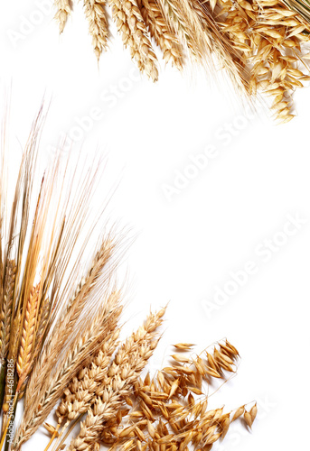 Harvest frame