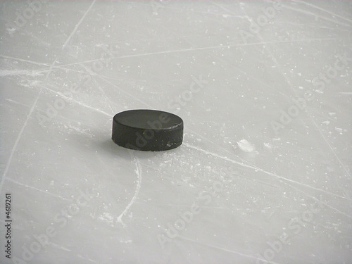 hockey puck
