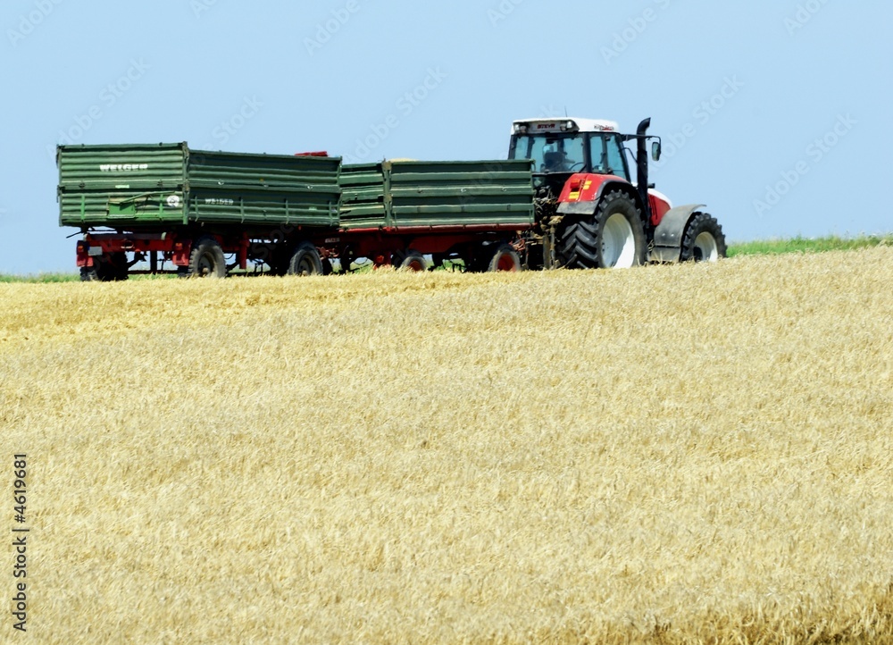 Obraz premium Traktor auf dem Getreidefeld