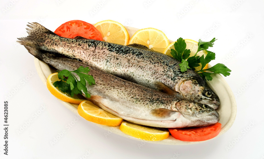 fish fish