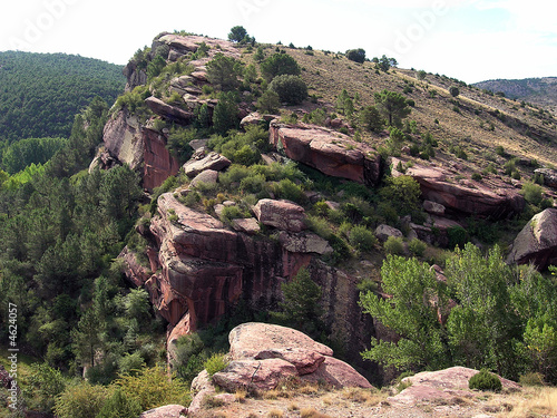 Pinares del Rodeno - Albarracin (Teruel) Aragon -Spain photo