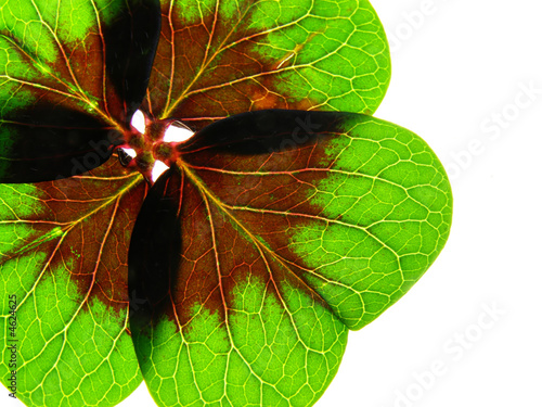 green clover