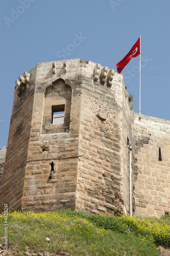 Castle and Flag