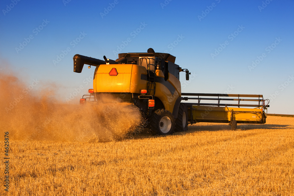 Naklejka premium Combine work