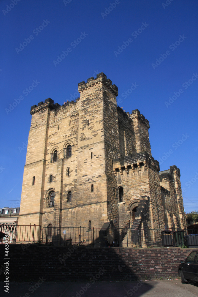Newcastle's Castle