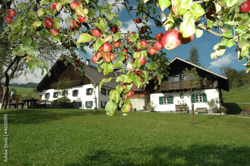 Bauernhof photo