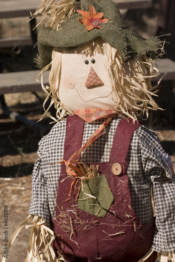 A scarecrow at the local pumpkin festival