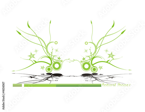 composicion floral en vector
